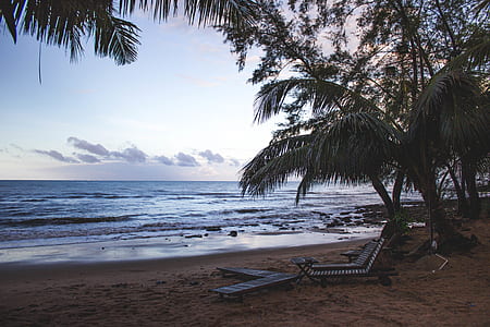 brown wooden lounge chairs thumbnail
