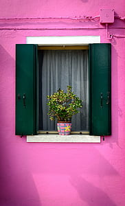 green potted plant with pink and brown plant pot on white and green window thumbnail