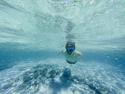 person snorkeling underwater thumbnail