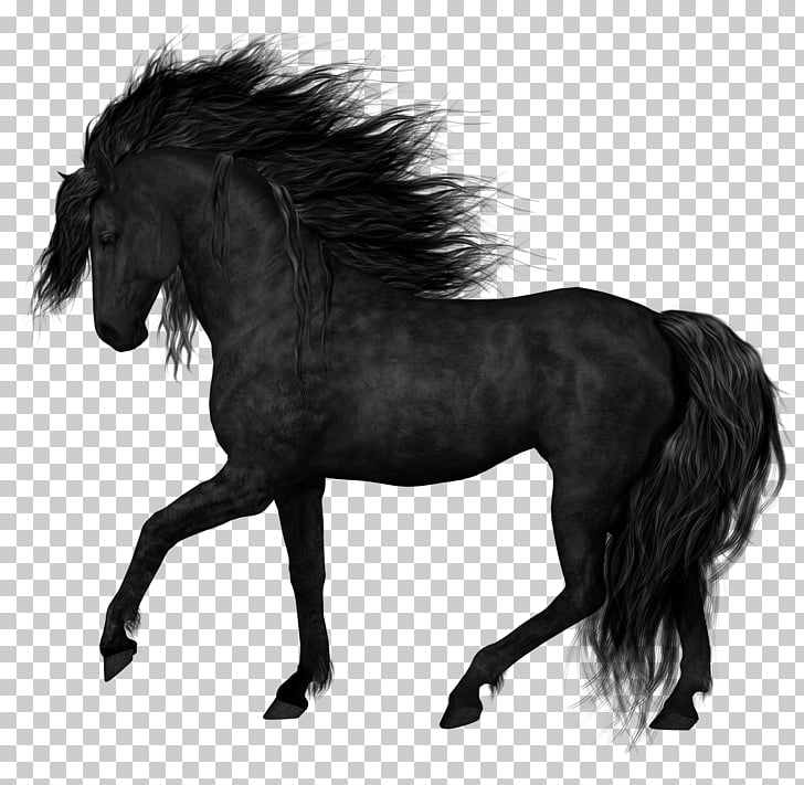 Clip Art Black And White Horse Pictures Jameslemingthon Blog