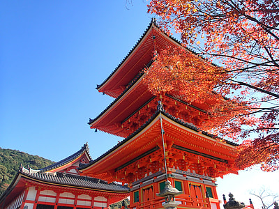 structural photography of red pagoda under blue sky thumbnail