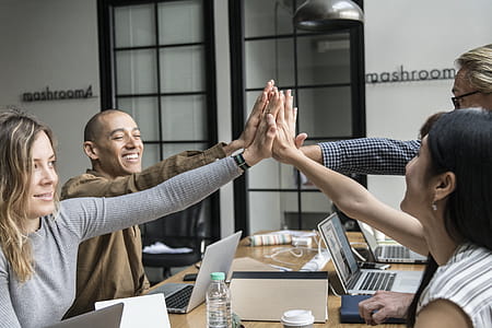 Two Men And Two Women Giving Highfives thumbnail