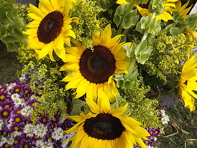three sunflowers thumbnail