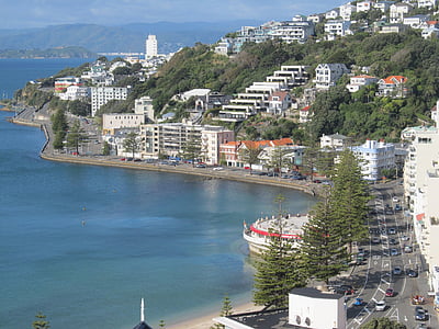 buildings and trees near water thumbnail