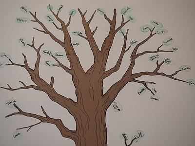 family tree sketch thumbnail