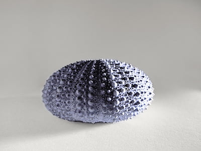 gray stone on white surface thumbnail