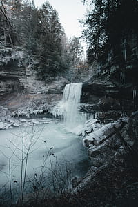 freezes waterfalls surrounded by trees thumbnail