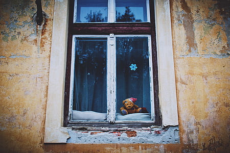 closed clear glass window thumbnail
