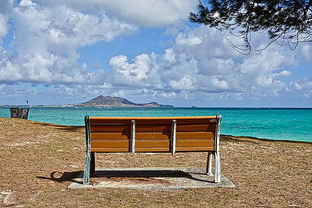brown wooden bench near body of water thumbnail