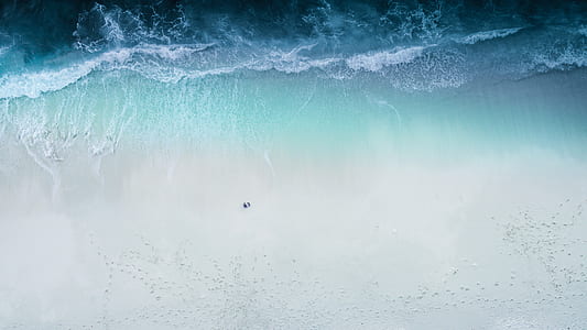 aerial photo of seashore thumbnail