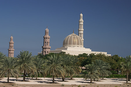 white mosque near trees at daytime thumbnail