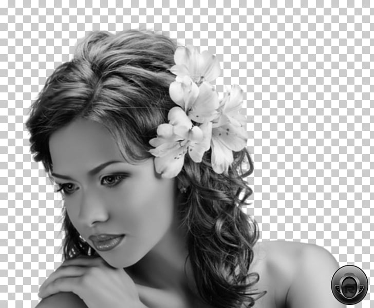 Hairstyle Braid Hair Jewellery Wedding Hair Png Clipart Free