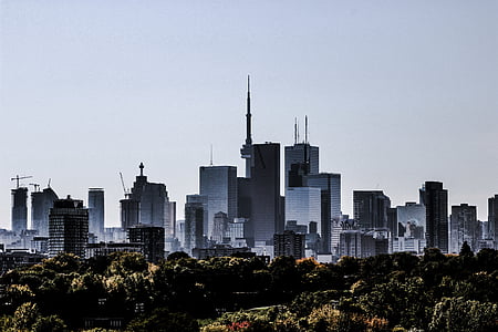 cities scape near trees under white cloud blue skies at daytime thumbnail