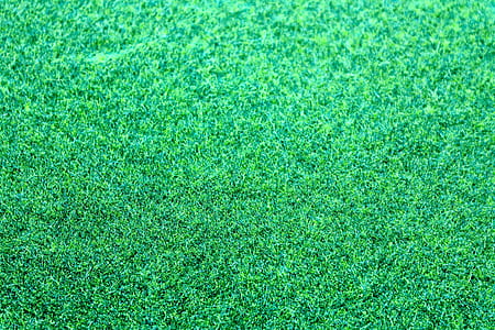 pattern, grass, green, colors thumbnail
