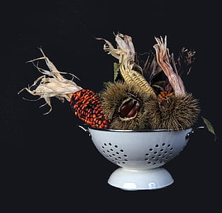 brown and yellow corns on white bowl thumbnail