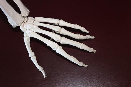 left skeleton hand on brown surface thumbnail