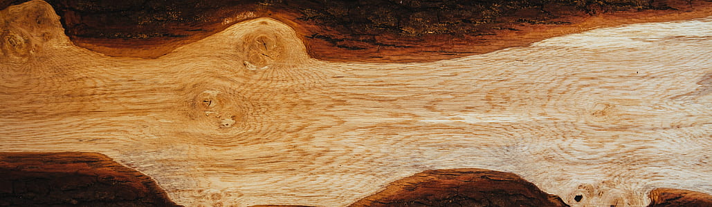 wood, tree, grain, fallen thumbnail