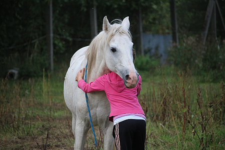 person in pink sweatshirt hugging white horse thumbnail