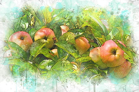 bunch of red apple fruit painting thumbnail