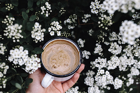 Morning coffee outdoors in the garden thumbnail
