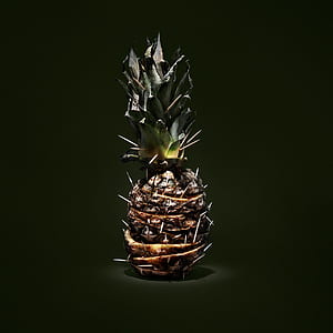 photography of brown pineapple thumbnail