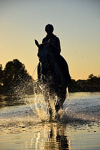 silhouette of person rinding horse thumbnail