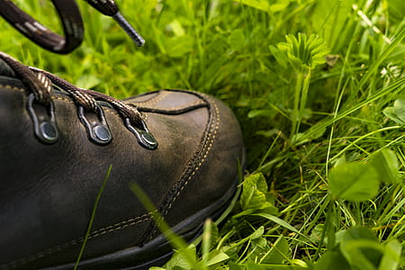 fashion, summer, hiking, grass thumbnail