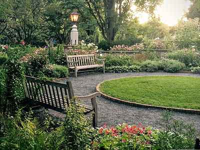 two grey wooden benches near green grass field thumbnail