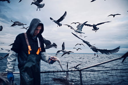 man standing near flying flock of birds thumbnail