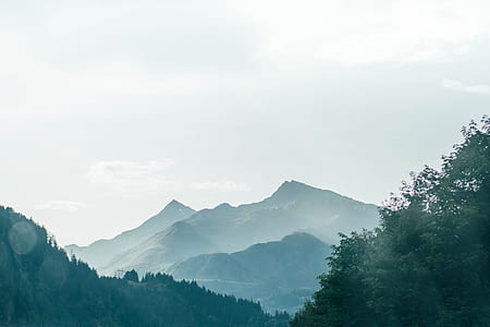 mountain and trees thumbnail
