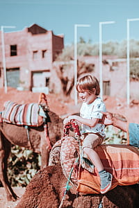 boy in white crew-neck shirt riding brown animal thumbnail
