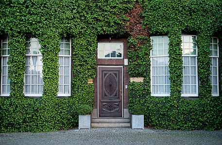 brown wooden door filled with green leafed plants thumbnail