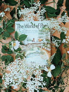 book covered with white flowers and green leaves thumbnail