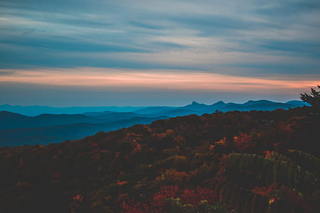 aerial photography of trees and mountains at golden hour thumbnail