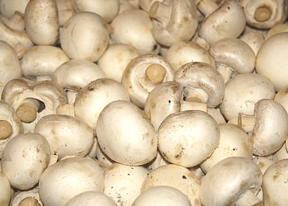 white mushrooms thumbnail