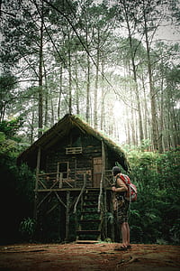 person standing near house and tress thumbnail