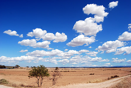 beige land under white clouded blue sky at daytime thumbnail