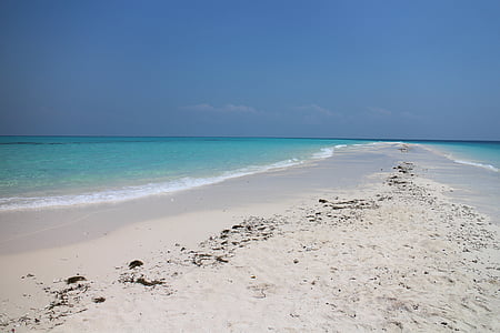 seashore during day time thumbnail