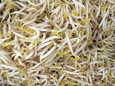 bean sprouts thumbnail