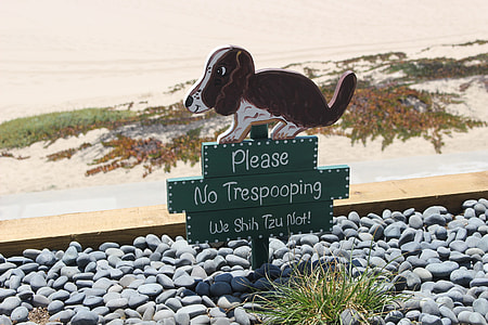 please no trespooping we shih tzu not signage thumbnail