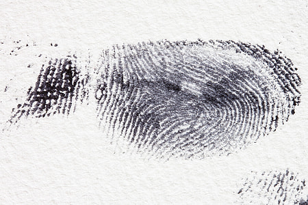 close-up photo of fingerprint thumbnail