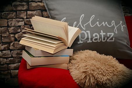four assorted books, gray throw pillow, and red sofa thumbnail