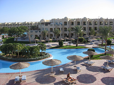 aerial photography of people lying on lounger chair beside swimming pool thumbnail