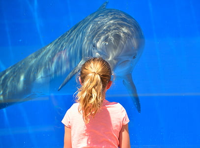 selective focus photography of girl standing in front of dolphin with glass thumbnail