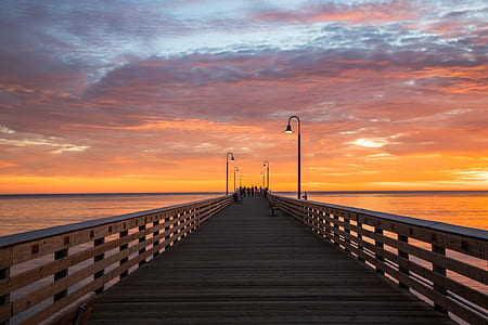 people on wooden dock in body of water thumbnail