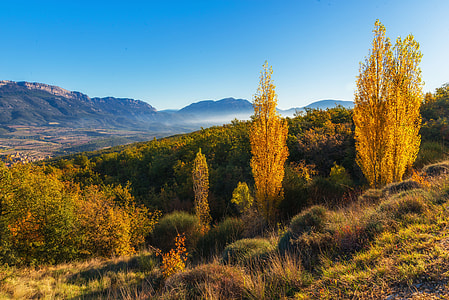 photograph of green plants near mountain thumbnail