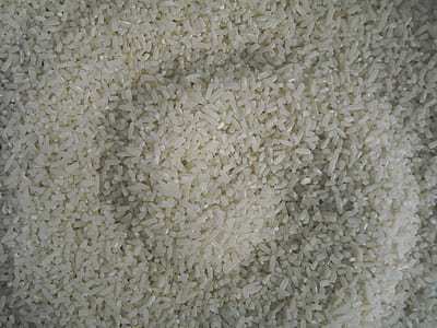 rice grains thumbnail