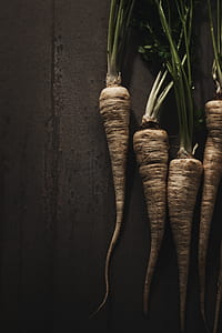 four beige carrots thumbnail