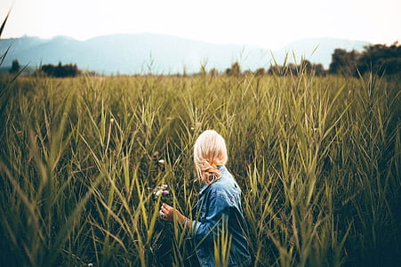 nature, woman, field, girl thumbnail