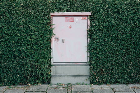 pink metal gate thumbnail